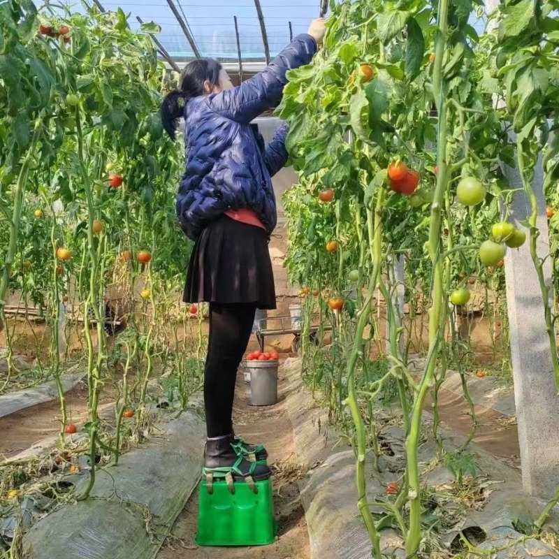 Sgabello rialzato per lavori a - Agriculture Farming Shoes recensione e prezzo