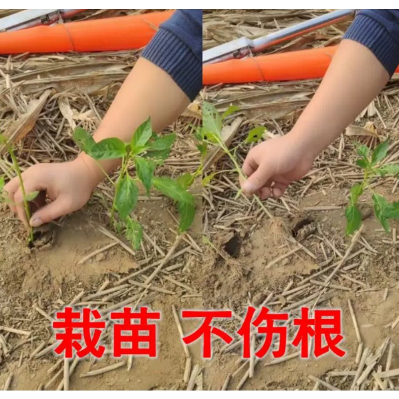 Trapiantatrice Agricola per Pi - Vegetable Transplanter recensione e prezzo